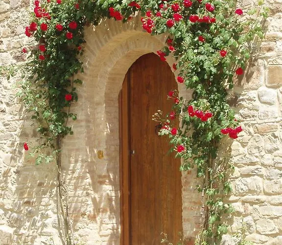 Ca' Bertu' Zappolino