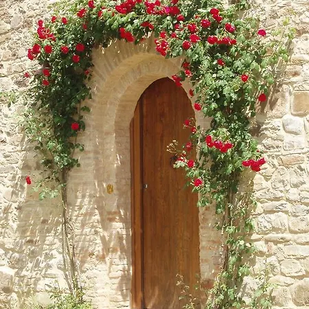 Ca' Bertu' Zappolino